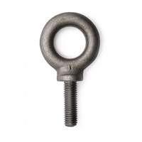 Eye Bolt, 5/8" Dia., 1-3/4" L, 4000 lbs. (2 tons) Capacity Pronet Distribution