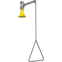 Vertical Supply Emergency Shower Station, Ceiling-Mount Pronet Distribution