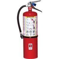 Extincteur d'incendie, ABC, Capacit&eacute; 10 lb Pronet Distribution
