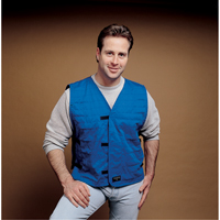 Cooling Vests With Insert Pockets, Large, Royal Blue Pronet Distribution