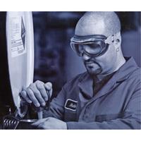 Uvex&reg; Flex Seal Safety Goggles, 3.0 Lens, Anti-Fog, Indirect Vent Pronet Distribution