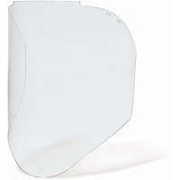Visi&egrave;res de Rechange Bionic, Polycarbonate, Teinte Transparent Pronet Distribution