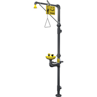 Corrosion-Resistant Emergency Shower & Eye/Face Wash Station Pronet Distribution