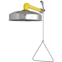 Horizontal Supply Emergency Shower Stations, Wall-Mount Pronet Distribution
