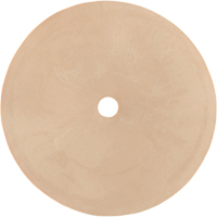 Survivair&reg; Inhalation Valve Pronet Distribution