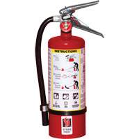 Extincteur d'incendie, ABC, Capacit&eacute; 5 lb Pronet Distribution
