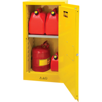 Armoire pour produits inflammables, 16 gal., 1 Porte(s), 23" La x 44" h x 18" p Pronet Distribution