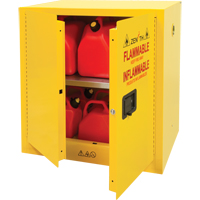 Armoire pour produits inflammables, 22 gal., 2 Porte(s), 35" La x 35" h x 22" p Pronet Distribution