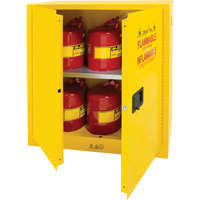 Armoire pour produits inflammables, 30 gal., 2 Porte(s), 43" La x 44" h x 18" p Pronet Distribution