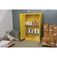 Armoire pour produits inflammables, 45 gal., 2 Porte(s), 43" La x 65" h x 18" p Pronet Distribution