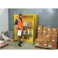 Armoire pour produits inflammables, 45 gal., 2 Porte(s), 43" La x 65" h x 18" p Pronet Distribution