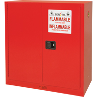 Armoire pour peintures et encres, 45 gal., 3 tablettes Pronet Distribution
