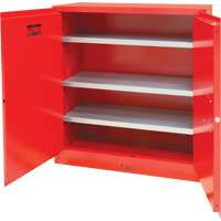 Armoire pour peintures et encres, 45 gal., 3 tablettes Pronet Distribution