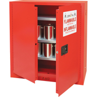 Armoire pour peintures et encres, 45 gal., 3 tablettes Pronet Distribution
