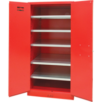 Paint/Ink Cabinet, 96 gal., 5 Shelves Pronet Distribution