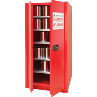 Paint/Ink Cabinet, 96 gal., 5 Shelves Pronet Distribution