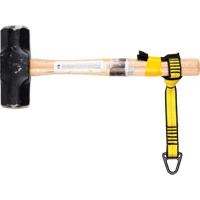 Sangle de fixation pour outil Pronet Distribution