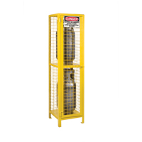 Gas Cylinder Cabinets, 2 Cylinder Capacity, 17" W x 17" D x 69" H, Yellow Pronet Distribution
