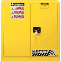 Armoire de s&eacute;curit&eacute; pour produits inflammables Ex Sure-Grip, 30 gal., 2 Porte(s), 36" La x 35" h x 24" p Pronet Distribution