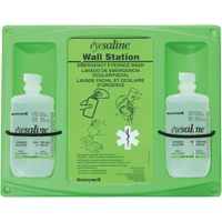 Saline Eyewash Wall Station, Double Pronet Distribution