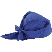 Chill-Its&reg; 6710CT Cooling Triangle Hats, Blue Pronet Distribution