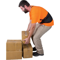 Back Support, Elastic, Small Pronet Distribution