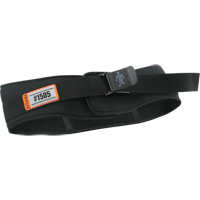 Back Brace and Supports