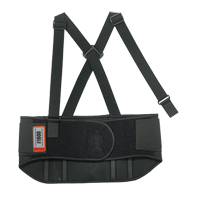 Support dorsal Universal 1600 Proflex, &eacute;lastique, Taille unique Pronet Distribution