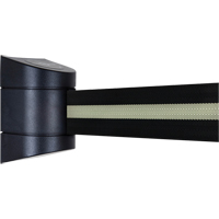 TensaBarrier&reg; Wall Mounted Units, Plastic, Screw Mount, 15', Black Tape Pronet Distribution