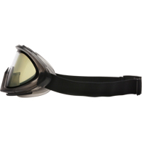Capstone Dual Lens Safety Goggles, Clear Lens, Anti-Fog/Anti-Scratch, Indirect Vent Pronet Distribution