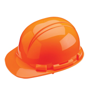 Casque de s&eacute;curit&eacute; Whistler de North, R&eacute;pond aux normes CSA type 1, Suspension &agrave; douille, Non ventil&eacute; Pronet Distribution