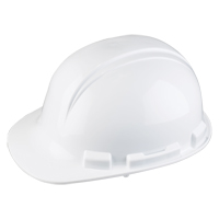 Casque de s&eacute;curit&eacute; Whistler de North, R&eacute;pond aux normes CSA type 1, Suspension Rochet, Non ventil&eacute; Pronet Distribution