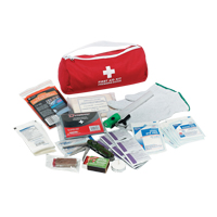 Trousse de premiers soins pour auto Dynamic, Dispositif m&eacute;dical Classe 1, Sac en nylon Pronet Distribution