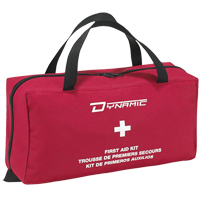 Dynamic Regular House First Aid Kit, Class 1 Medical Device, Nylon Bag Pronet Distribution