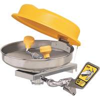 Poste de douche oculaire, Installation Montage mural, Bol Acier inoxydable Pronet Distribution