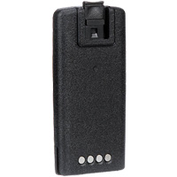 Batterie radio d'affaires bidirectionnelle haute capacit&eacute; Pronet Distribution