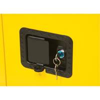 Armoire pour produits inflammables, 12 gal., 1 Porte(s), 23" La x 35" h x 18" p Pronet Distribution