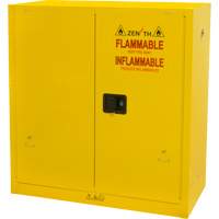 Armoire pour produits inflammables, 30 gal., 2 Porte(s), 43" La x 44" h x 18" p Pronet Distribution