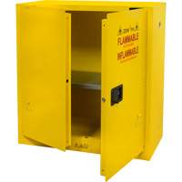 Armoire pour produits inflammables, 30 gal., 2 Porte(s), 43" La x 44" h x 18" p Pronet Distribution