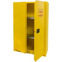 Armoire pour produits inflammables, 45 gal., 2 Porte(s), 43" La x 65" h x 18" p Pronet Distribution