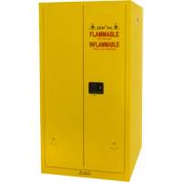 Armoire pour produits inflammables, 60 gal., 2 Porte(s), 34" La x 65" h x 34" p Pronet Distribution
