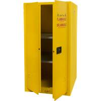 Armoire pour produits inflammables, 60 gal., 2 Porte(s), 34" La x 65" h x 34" p Pronet Distribution