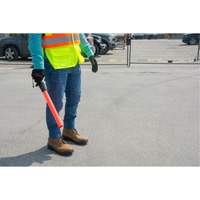 Safety Baton Light Pronet Distribution