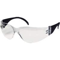 CeeTec Safety Glasses, Clear Lens, Anti-Fog/Anti-Scratch, Meets/Exceeds CSA Z94.3 Pronet Distribution