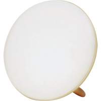 Lampe &agrave; luminoth&eacute;rapie pour le traitement de la d&eacute;pression saisonni&egrave;re Pronet Distribution