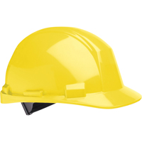 Casque de s&eacute;curit&eacute; North Matterhorn, R&eacute;pond aux normes CSA type 2, Suspension Rochet, Non ventil&eacute; Pronet Distribution