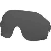 Eye Visor Replacement Lenses, Grey/Smoke Tint Pronet Distribution