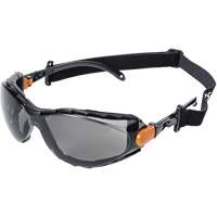 XPS502 Sealed Safety Glasses, Smoke Lens, Anti-Fog/Anti-Scratch Pronet Distribution
