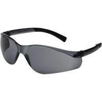 X300 Safety Glasses, Smoke Lens, Anti-Scratch, ANSI Z87+/Meets/Exceeds CSA Z94.3 Pronet Distribution