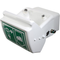 Douche oculaire/faciale, Installation Montage mural, Bol Plastique Pronet Distribution